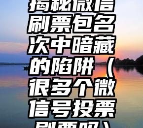 简单的来说下微信投票人工怎么刷票（微信纯人工投票）