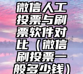 简单的来说下微信投票人工怎么刷票(微信纯人工投票)