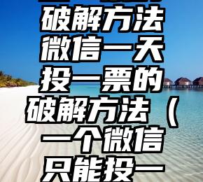 简单的来说下微信投票人工怎么刷票（微信纯人工投票）