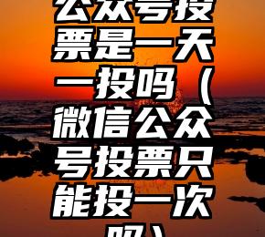 简单的来说下微信投票人工怎么刷票（微信纯人工投票）