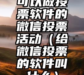 简单的来说下微信投票人工怎么刷票（微信纯人工投票）
