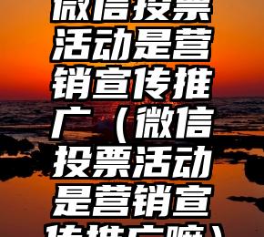 简单的来说下微信投票人工怎么刷票（微信纯人工投票）