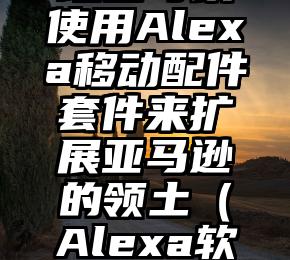 简单的来说下微信投票人工怎么刷票（微信纯人工投票）