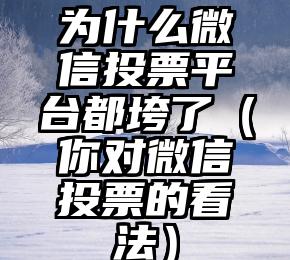 简单的来说下微信投票人工怎么刷票（微信纯人工投票）