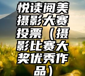 简单的来说下微信投票人工怎么刷票（微信纯人工投票）