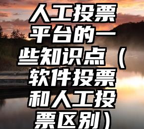 简单的来说下微信投票人工怎么刷票（微信纯人工投票）