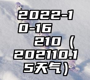简单的来说下微信投票人工怎么刷票（微信纯人工投票）