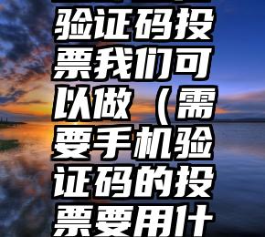简单的来说下微信投票人工怎么刷票（微信纯人工投票）