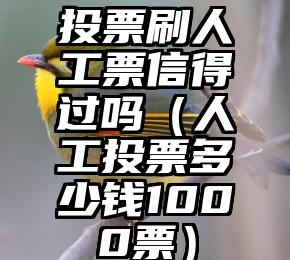 简单的来说下微信投票人工怎么刷票（微信纯人工投票）