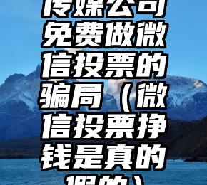 简单的来说下微信投票人工怎么刷票（微信纯人工投票）