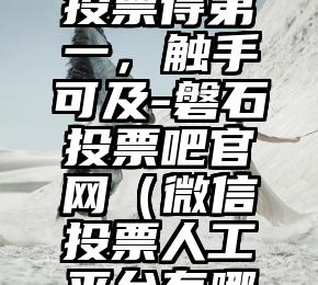 简单的来说下微信投票人工怎么刷票(微信纯人工投票)