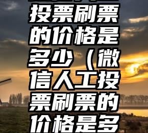 简单的来说下微信投票人工怎么刷票（微信纯人工投票）