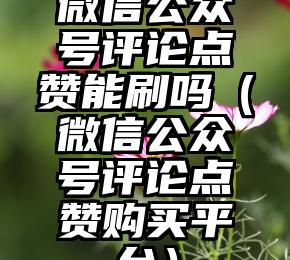 简单的来说下微信投票人工怎么刷票（微信纯人工投票）