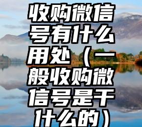 简单的来说下微信投票人工怎么刷票（微信纯人工投票）