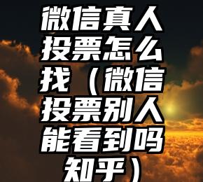 简单的来说下微信投票人工怎么刷票（微信纯人工投票）