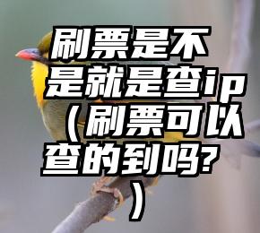 简单的来说下微信投票人工怎么刷票（微信纯人工投票）