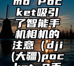 简单的来说下微信投票人工怎么刷票（微信纯人工投票）