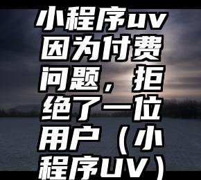 简单的来说下微信投票人工怎么刷票（微信纯人工投票）