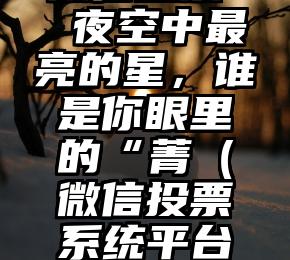 简单的来说下微信投票人工怎么刷票（微信纯人工投票）
