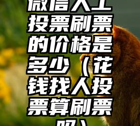 简单的来说下微信投票人工怎么刷票（微信纯人工投票）