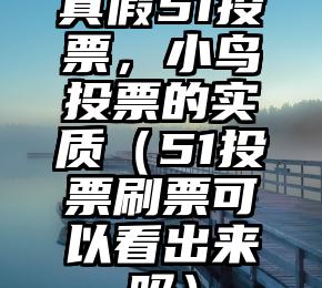 简单的来说下微信投票人工怎么刷票（微信纯人工投票）