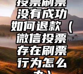 简单的来说下微信投票人工怎么刷票（微信纯人工投票）