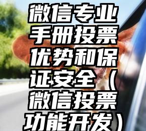 简单的来说下微信投票人工怎么刷票（微信纯人工投票）