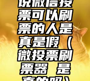 简单的来说下微信投票人工怎么刷票（微信纯人工投票）