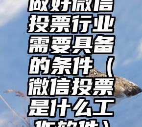 简单的来说下微信投票人工怎么刷票（微信纯人工投票）