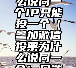 简单的来说下微信投票人工怎么刷票（微信纯人工投票）