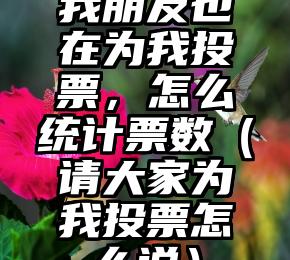 简单的来说下微信投票人工怎么刷票（微信纯人工投票）