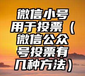 简单的来说下微信投票人工怎么刷票（微信纯人工投票）