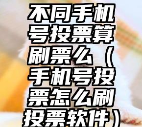简单的来说下微信投票人工怎么刷票（微信纯人工投票）