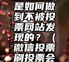简单的来说下微信投票人工怎么刷票(微信纯人工投票)