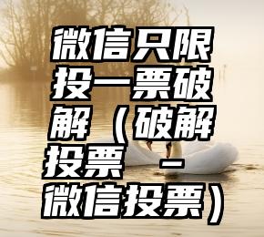 简单的来说下微信投票人工怎么刷票（微信纯人工投票）