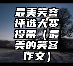简单的来说下微信投票人工怎么刷票（微信纯人工投票）