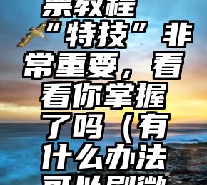 简单的来说下微信投票人工怎么刷票（微信纯人工投票）