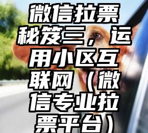 简单的来说下微信投票人工怎么刷票（微信纯人工投票）