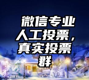 简单的来说下微信投票人工怎么刷票（微信纯人工投票）