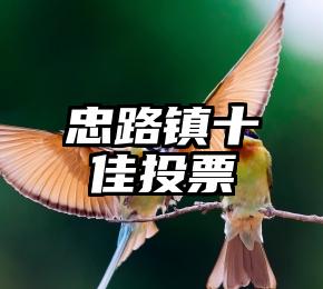 简单的来说下微信投票人工怎么刷票（微信纯人工投票）