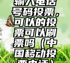 简单的来说下微信投票人工怎么刷票（微信纯人工投票）