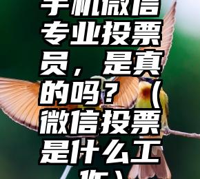 简单的来说下微信投票人工怎么刷票（微信纯人工投票）