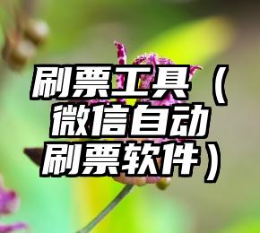 简单的来说下微信投票人工怎么刷票（微信纯人工投票）