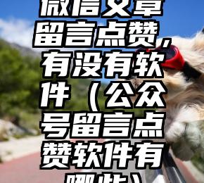 简单的来说下微信投票人工怎么刷票（微信纯人工投票）