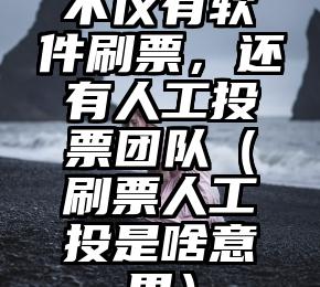 简单的来说下微信投票人工怎么刷票（微信纯人工投票）