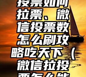 简单的来说下微信投票人工怎么刷票（微信纯人工投票）
