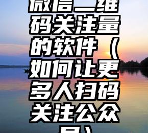 简单的来说下微信投票人工怎么刷票（微信纯人工投票）