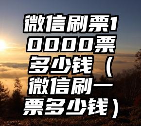 简单的来说下微信投票人工怎么刷票（微信纯人工投票）