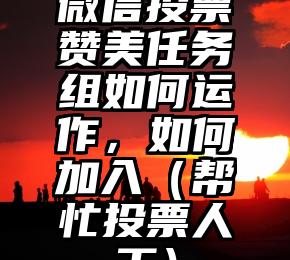 简单的来说下微信投票人工怎么刷票（微信纯人工投票）