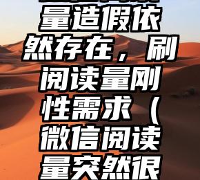 简单的来说下微信投票人工怎么刷票（微信纯人工投票）
